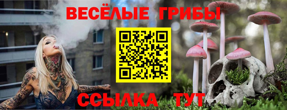 Галлюциногенные грибы мухоморы  Вход с VPN  купить наркотики сайты  Электрогорск 